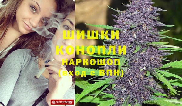 бутират Инсар