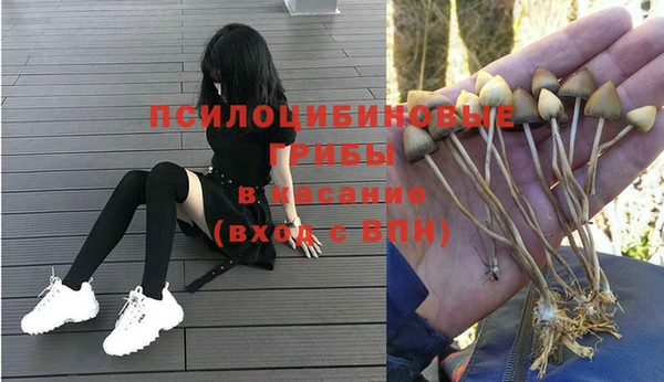 бутират Инсар