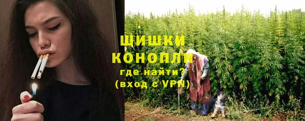 ешки Иннополис